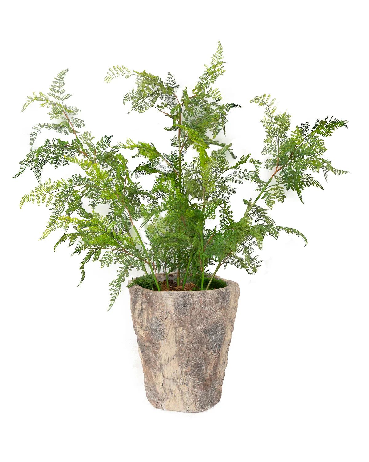 Faux Potted Fern | McGee & Co.