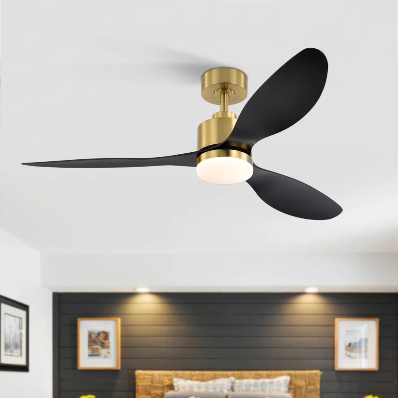 Loritta 52'' 3 - Blade Large Indooor Ceiling Fan With Light Kit and Remote, 3 LED Colors, 6 Speed... | Wayfair North America