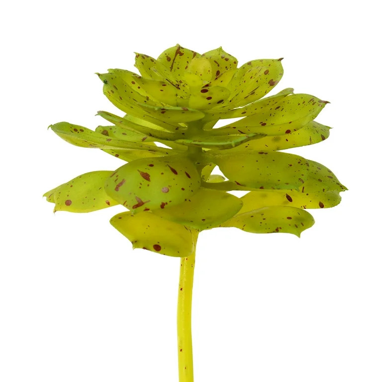 Vickerman 6" Artificial Green and Brown Spotted Echeveria Pick, Set of 3 | Walmart (US)