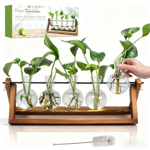 Renmxj Plant Propagation Station, Propagation Vases for Plants, Unique Gardening Birthday Gifts for Women Plant Lovers Mom Best Friend - 5 Bulb Glass Vases | Amazon (US)