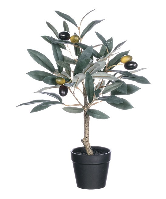 Sullivans Decor Floral NAT - 14'' Potted Olive Tree Topiary | Zulily