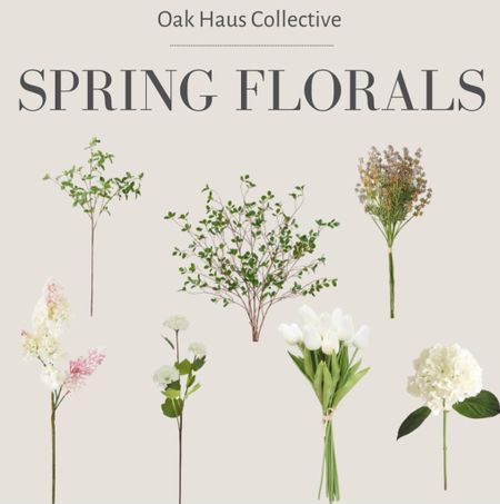 Spring Florals 🌷

Spring flowers, faux floral, faux stems, spring refresh, spring decor 

#LTKfindsunder50 #LTKhome #LTKSpringSale