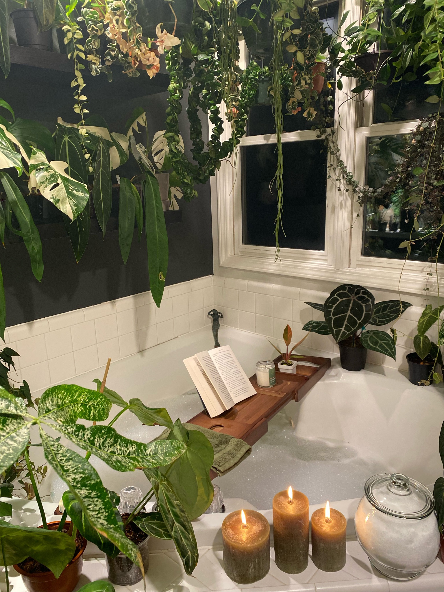 Peace and tranquility 🌱

#LTKU #LTKhome #LTKfindsunder50