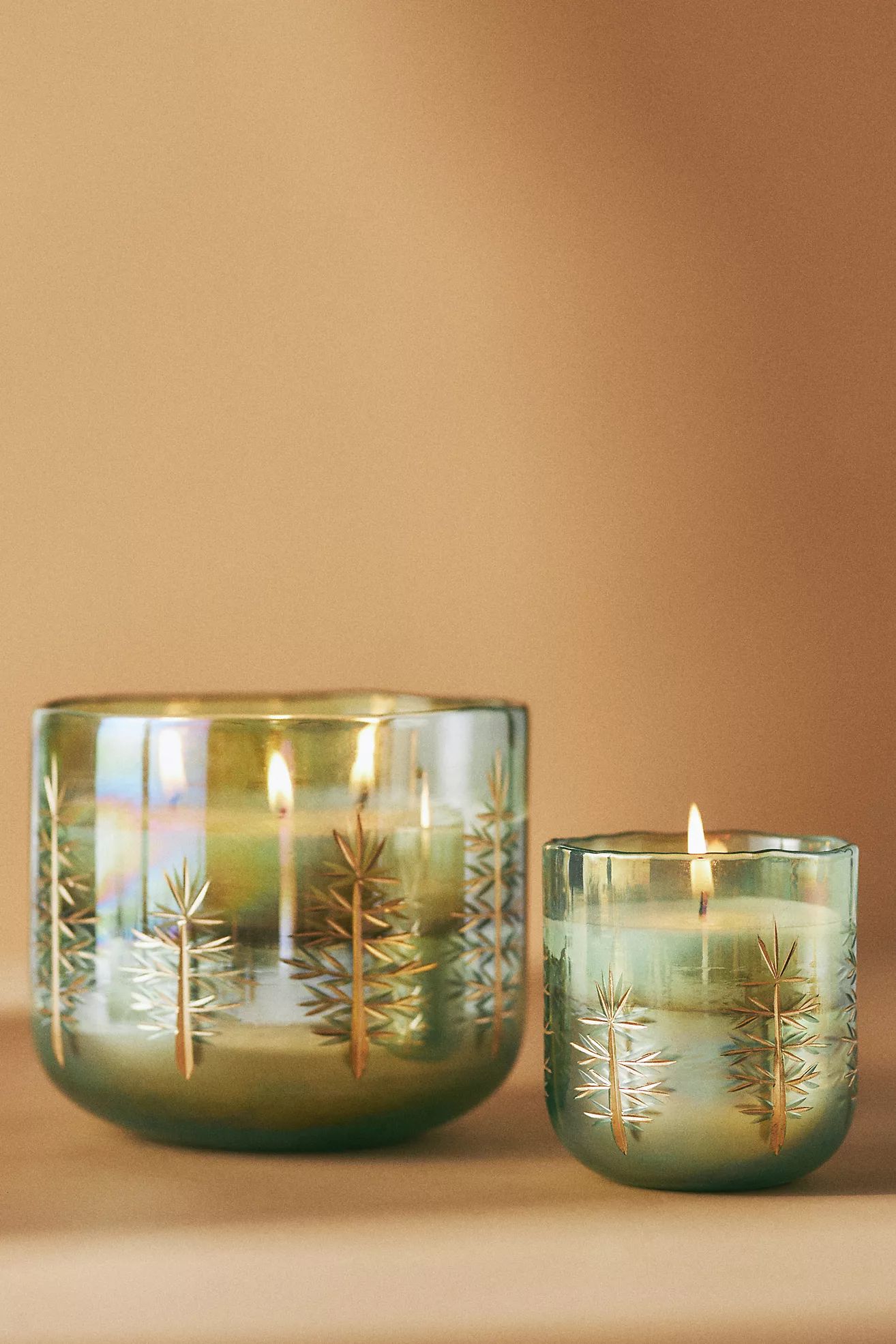 Gilded Evergreen Woody Fresh Balsam & Cedarwood Glass Candle | Anthropologie (US)