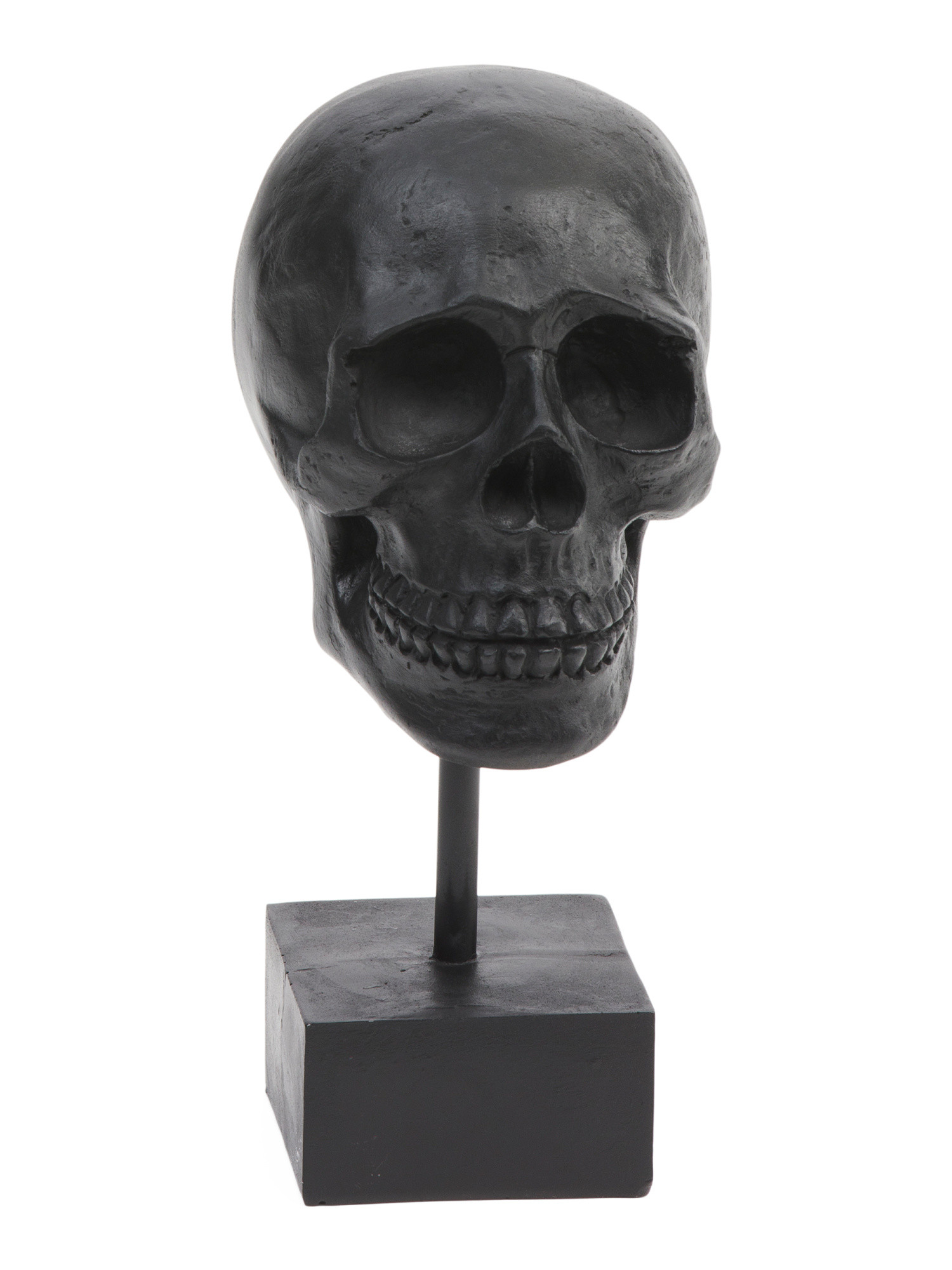 11in Resin Skull On Stand | TJ Maxx