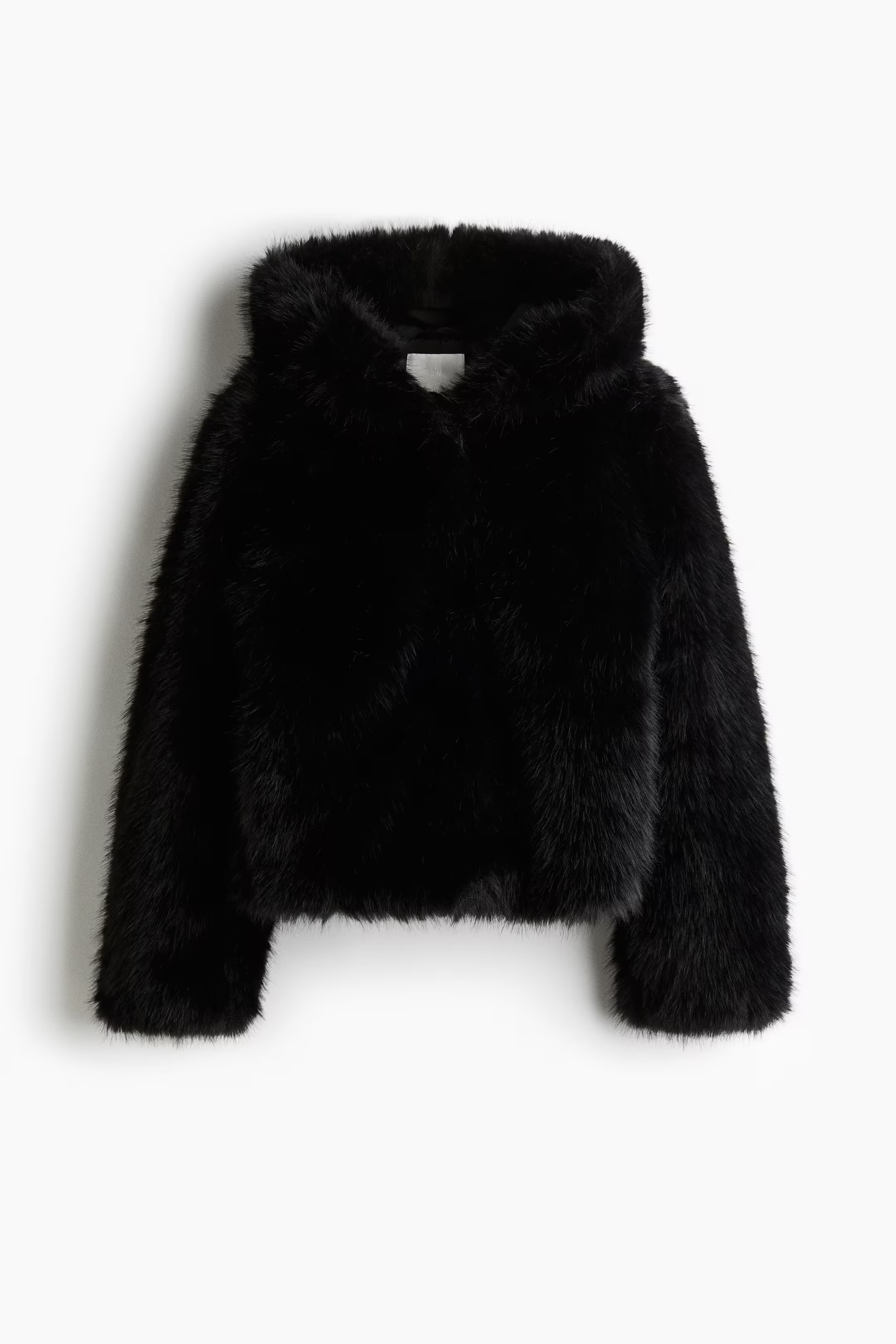 Hooded Jacket | H&M (US + CA)