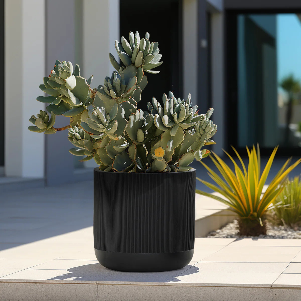 Greenebaum 14.8'' D Round Ribbed Black Planter, Outdoor Plant Pot | Wayfair North America