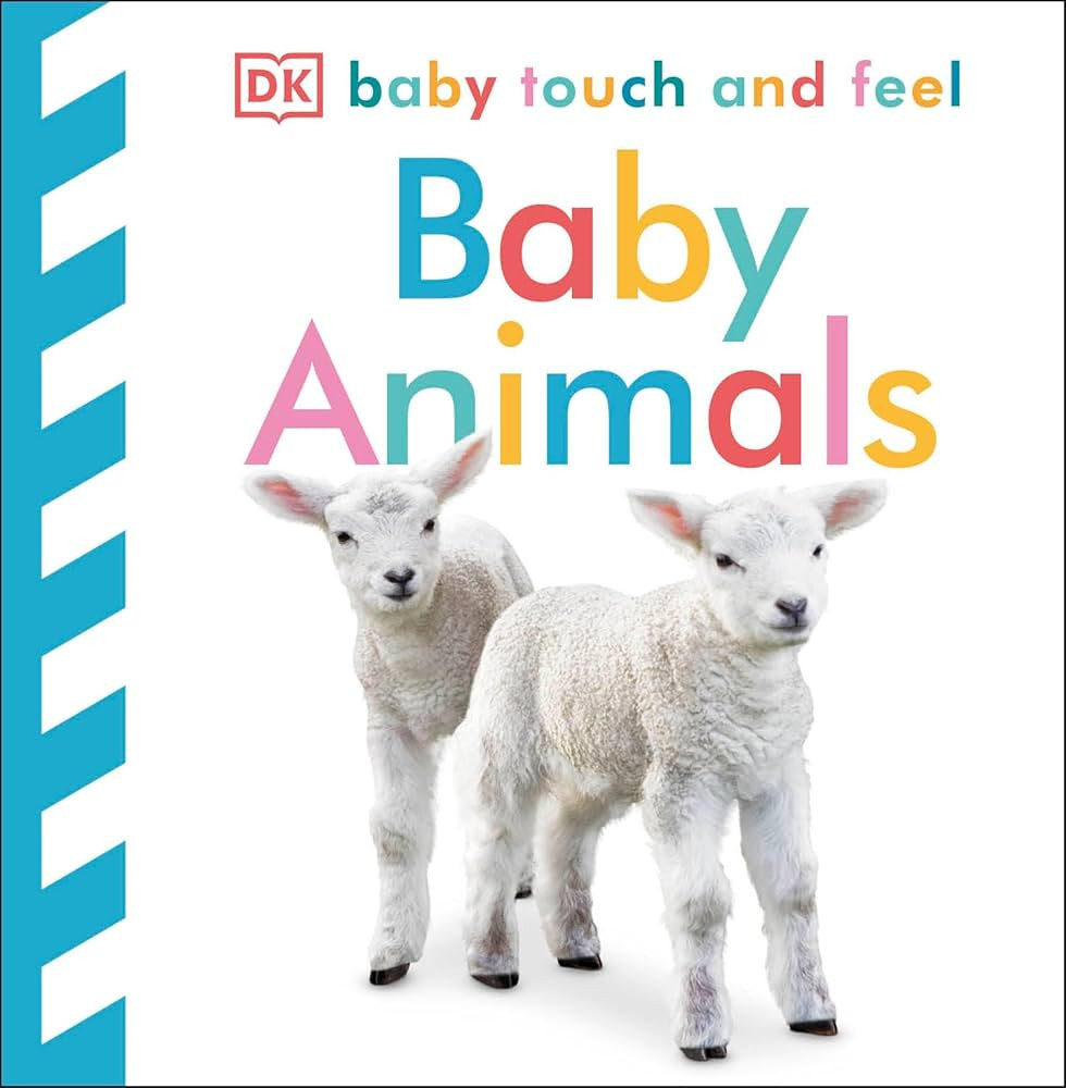 Baby Touch and Feel: Baby Animals | Amazon (US)