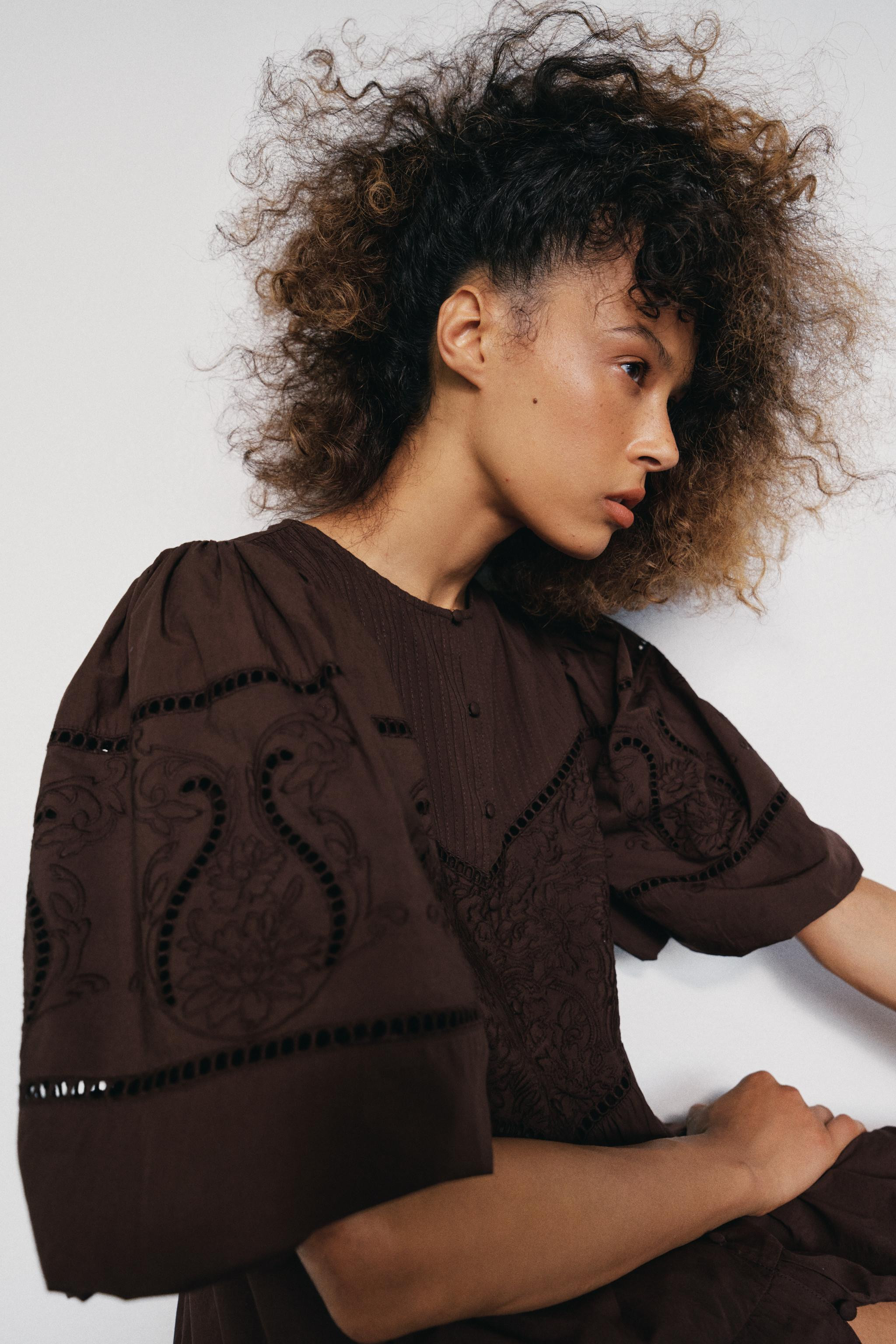 EMBROIDERED POPLIN MINI DRESS | Zara US