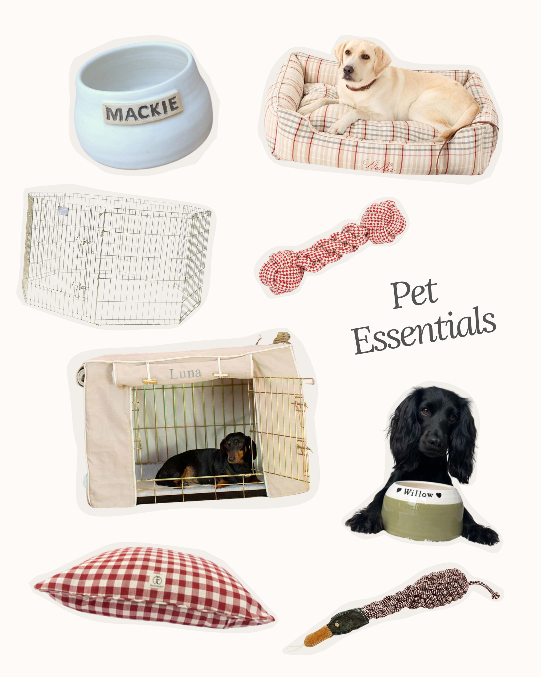 After getting Lolly, I went on a mission to find cute pet supplies: dog beds, dog bowls, toys, play pens!  

 