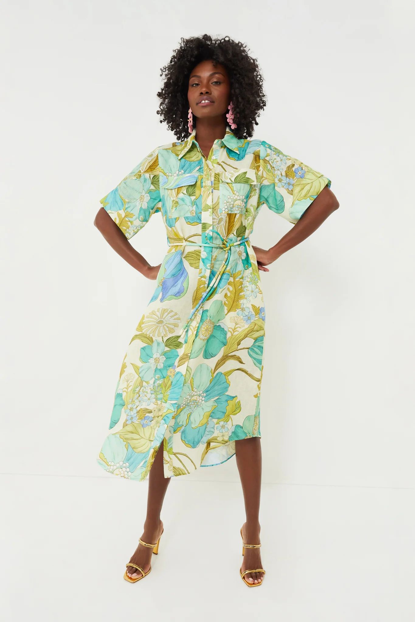 Blue Janis Shirtdress | Tuckernuck (US)