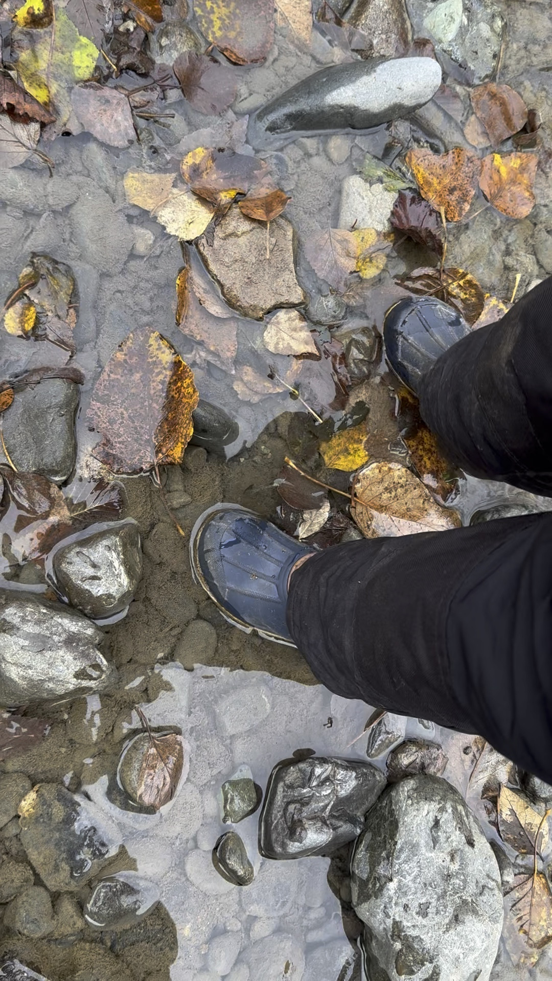 What kid doesn’t love splashing in water?! 

#LTKShoeCrush #LTKKids #LTKSeasonal