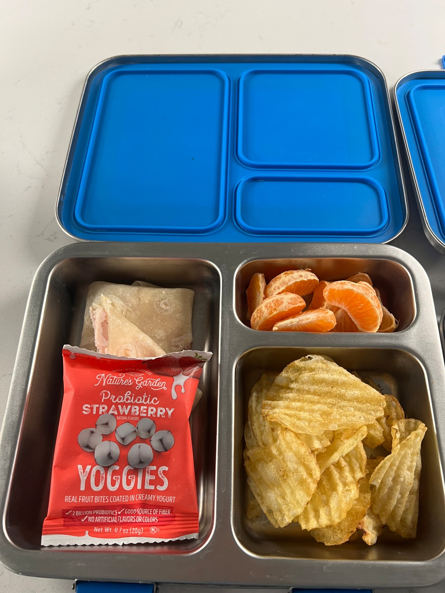 Kids lunch box stainless steel containers we use every single day 

#LTKFindsUnder50