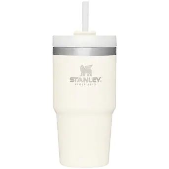 Stanley 20-fl oz Stainless Steel Insulated Water Bottle | Lowe's