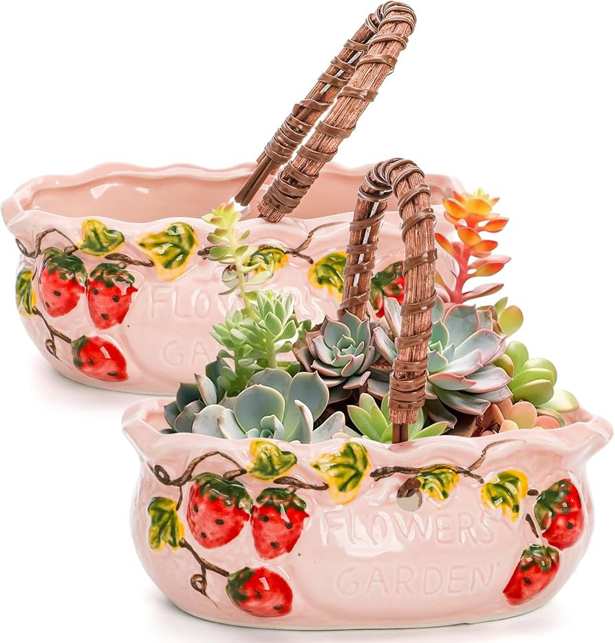 2 Pack Ceramic Succulent Planters, 7 Inch Shallow Bonsai Plant Pot with Handle Drainage Hole, Flo... | Amazon (US)