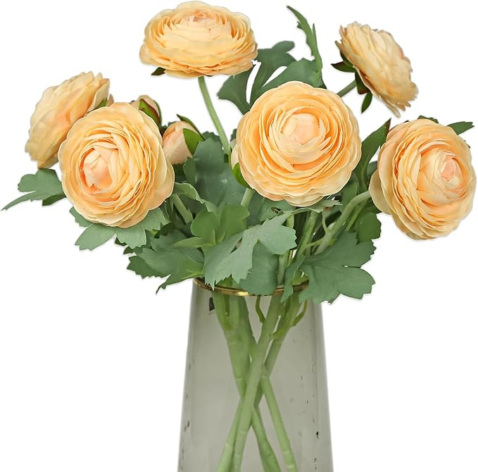 Artificial Ranunculus Flowers with Real Touch Stem,Silk Ranunculus Flowers (Champagne, 6pcs) | Amazon (US)