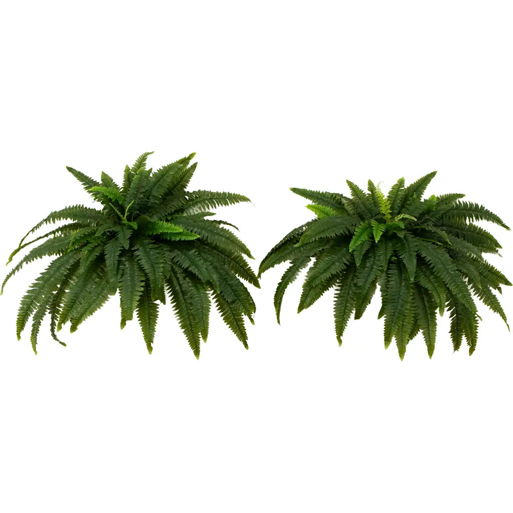 NEARLY NATURAL 48-in UV Resistant Artificial Boston Fern (Indoor/Outdoor) - Set of 2 in Green at Nordstrom | Nordstrom