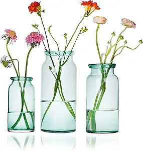 CASAMOTION Vase for Flowers Hand Blown Glass Vases Centerpiece Modern Farmhouse Room Decor Green ... | Amazon (US)