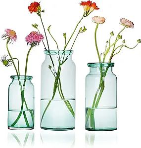 CASAMOTION Vase for Flowers Hand Blown Glass Vases Centerpiece Modern Farmhouse Room Decor Green ... | Amazon (US)