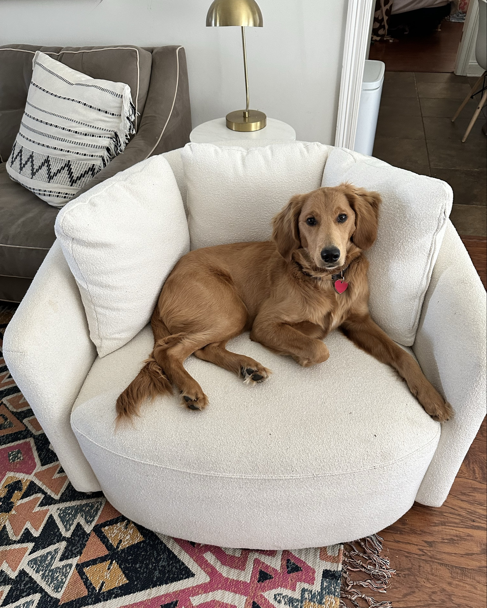 The whole family loves the Beautiful Drew Chair by Drew Barrymore from Walmart! 

#LTKStyleTip #LTKFamily #LTKHome