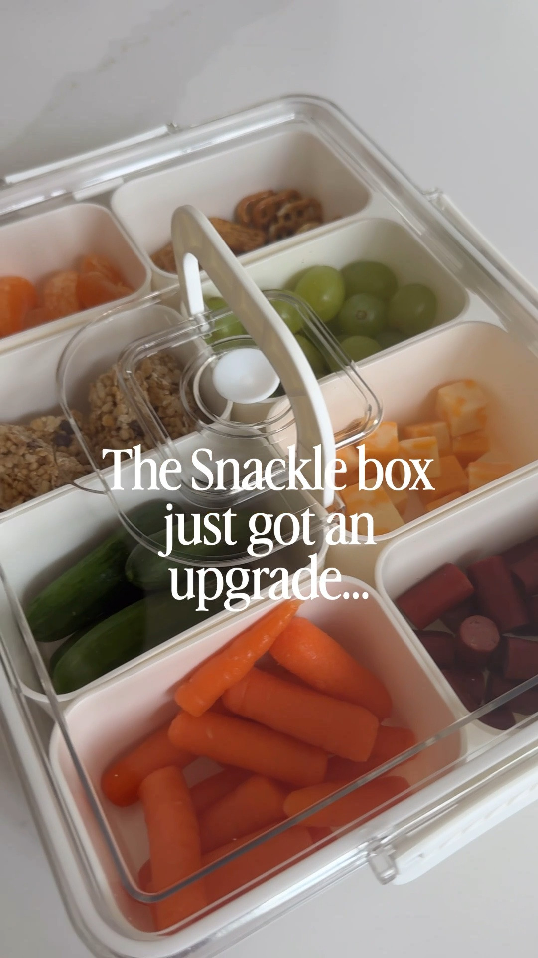 The Snacklebox just got an upgrade ☀️

This one has a built-in ice pack and a cooler carrying case, so it’s perfect for pool days, park days, road trips, and all the “I’m hungry” moments that happen approximately 47 times a day in the summer 😅

Easy to pack, easy to carry, and keeps snacks ready to go.

#LTKSeasonal #LTKKids #LTKTravel