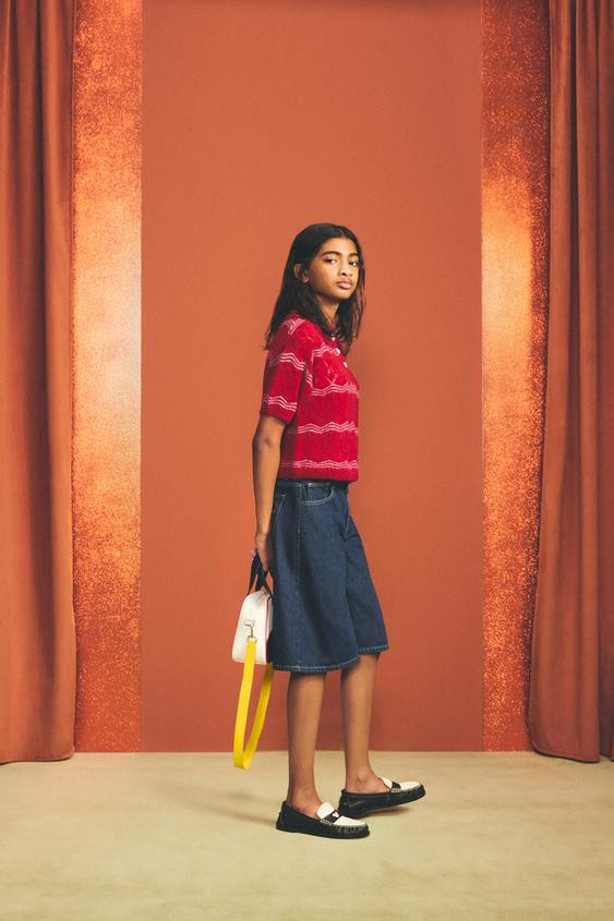 OPENWORK KNIT POLO SHIRT HARRY LAMBERT FOR ZARA X DISNEY | Zara US