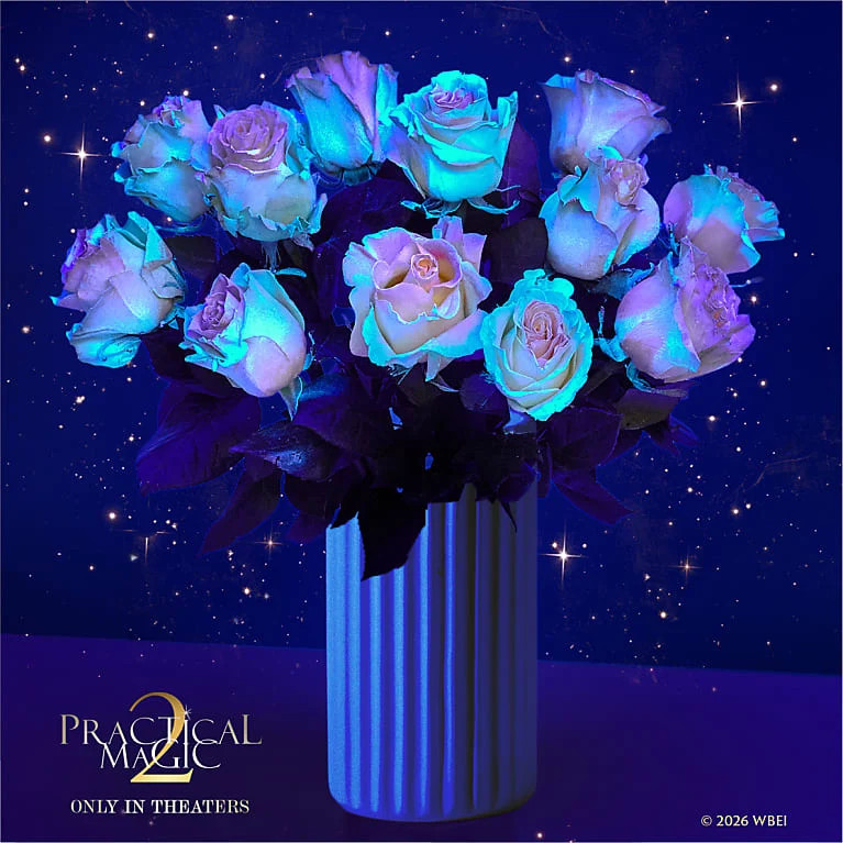 The Magic Returns Bouquet | FTD