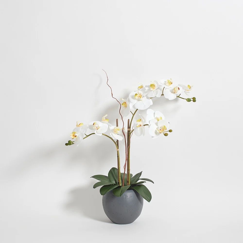 Premium Faux White Double Stem Orchid | CG Hunter | Luxury Faux Plants | CG Hunter