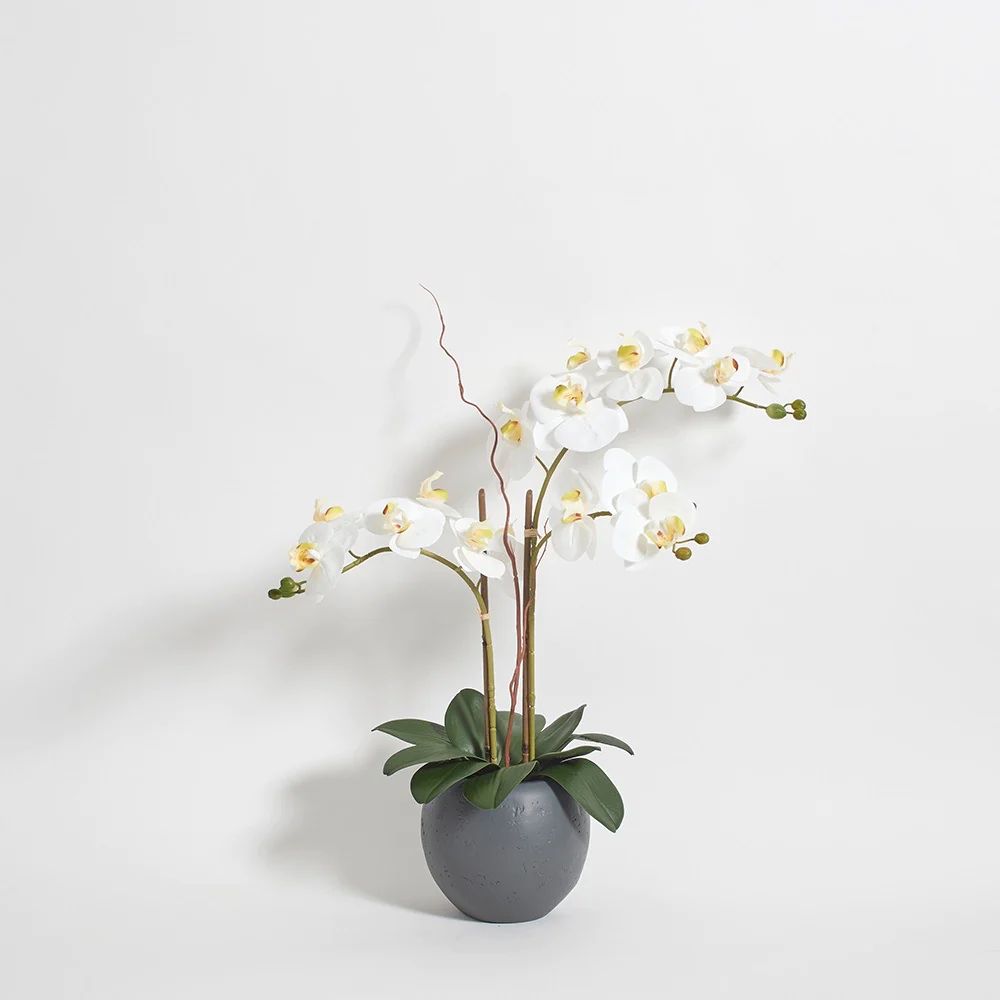 Premium Faux White Double Stem Orchid | CG Hunter | Luxury Faux Plants | CG Hunter