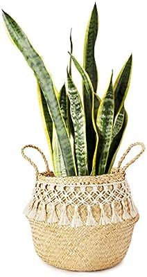 Mkono Seagrass Plant Basket Indoor Planter Decorative Flower Pot Cover Up to 10 Inch Pot with Mac... | Amazon (US)