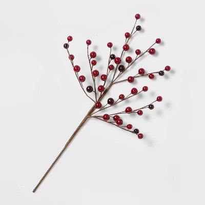 Red Berries Natural Stem Dried Arrangement - Wondershop™ | Target