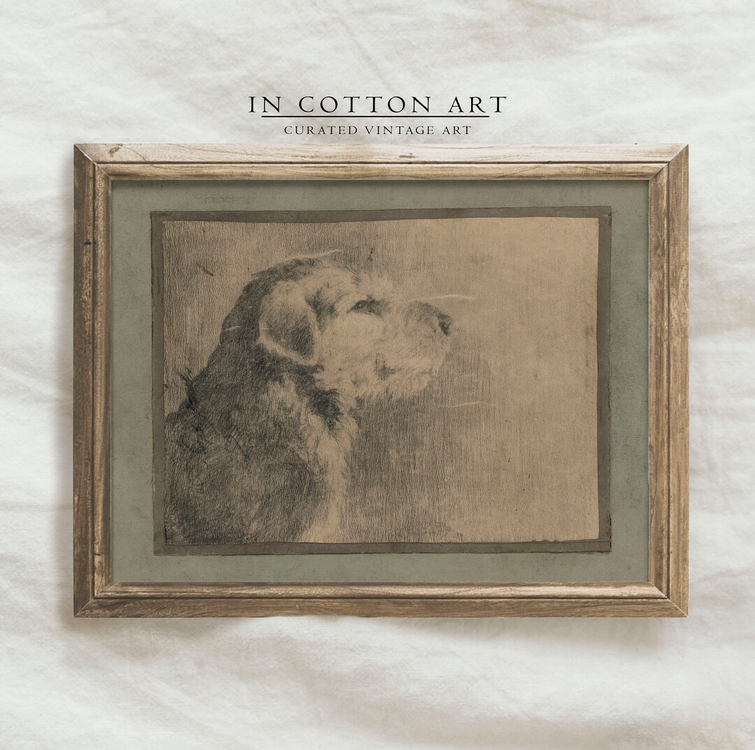 Vintage Dog Drawing PRINTABLE / Antique Puppy Sketch Art Print / Animal Etching Digital Download ... | Etsy (US)