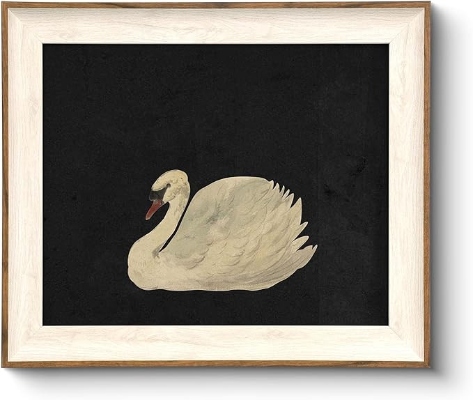 VIYYIEA Framed Wall Art for Living Room, Swan Art Canvas Prints, Vintage Home Decor, Animal Oil P... | Amazon (US)