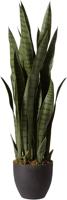 Nearly Natural, Green 4855 35in. Sansevieria with Black Planter | Amazon (US)