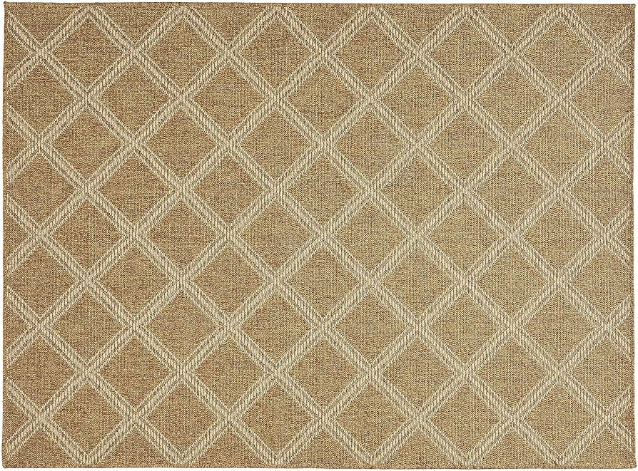 Christopher Knight Home Muffley Rug, 5'3" x 7', Natural | Amazon (US)