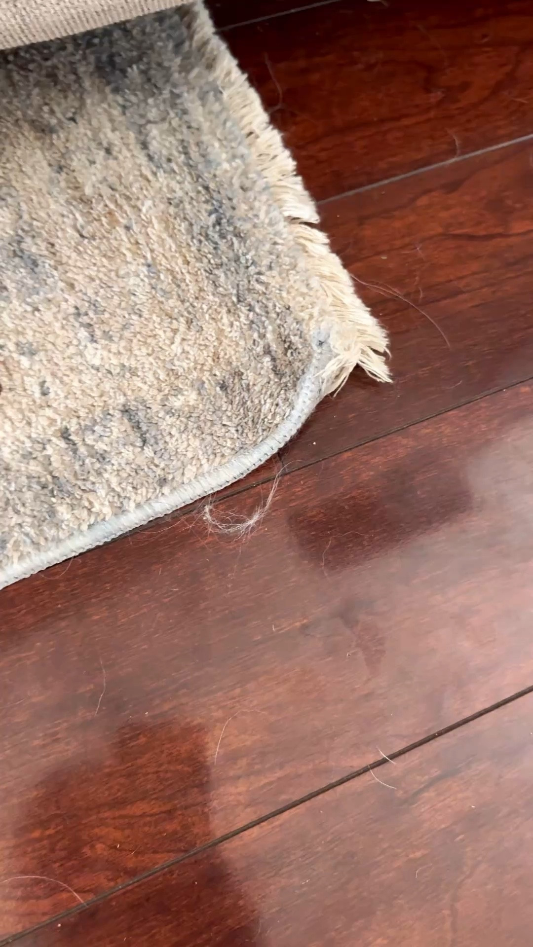 Game changer for pet hair 🙌 This vacuum was made for homes with dogs—and it shows. It picks up so much hair from carpets, rugs, and furniture, and the dog brush attachment makes grooming at home so much easier (and less messy).

If you’re dealing with shedding daily, this is one of those investments that actually makes life easier and your home feel cleaner instantly.

#CleanHome #PetHairRemoval #DysonVacuum #DogMomLife #HomeCleaning #CleaningHacks #PetOwners #AmazonHomeFinds

#LTKmomlife #LTKHome