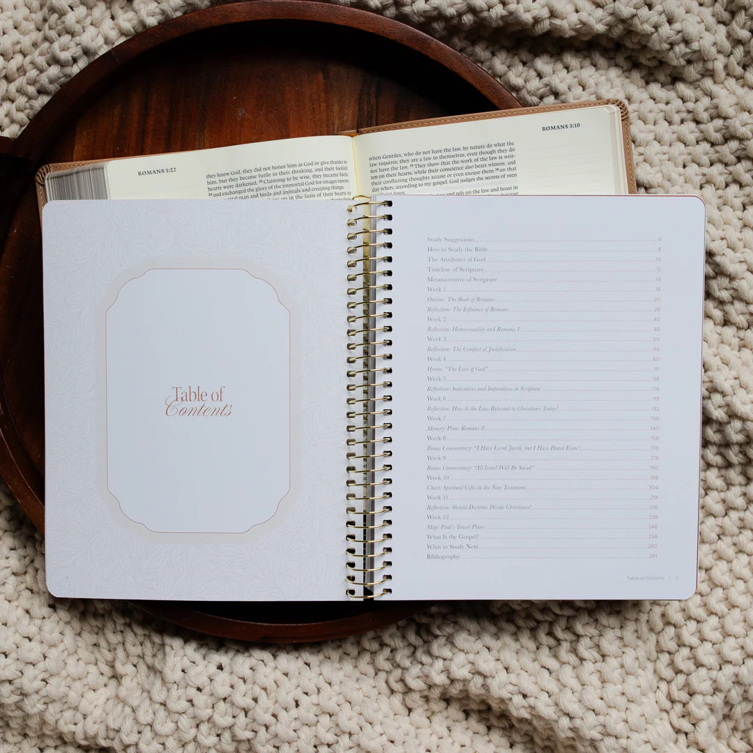 In Christ Alone | Romans Bible Study | The Daily Grace Co.