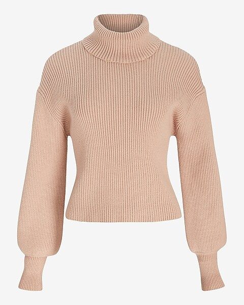 Ribbed Turtleneck Sweater | Express