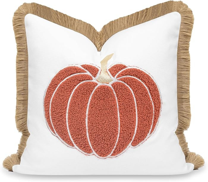 Hofdeco Premium Fall Coastal Patio Indoor Outdoor Pillow Cover Only, 20"x20" Water Repellent for Backyard, Couch, Rust Orange Embroidered Pumpkin with Fringed Trim | Amazon (US)
