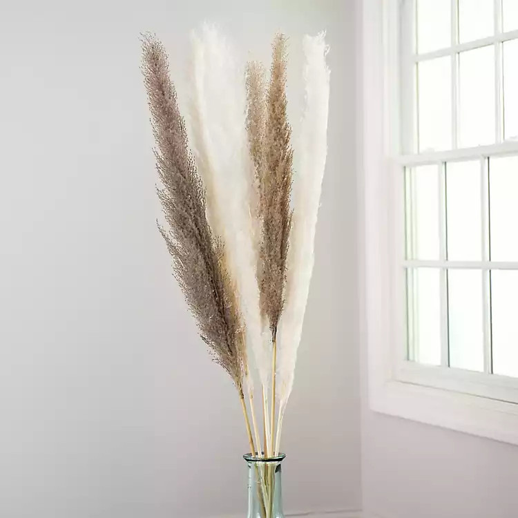 New! Gray Pampas Grass Stems, Set of 3 | Kirkland's Home
