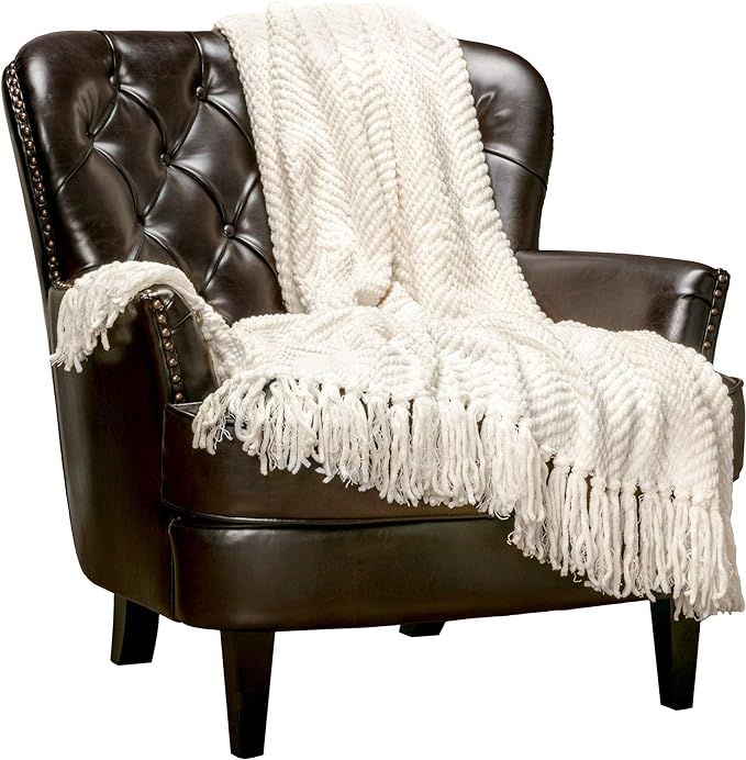 Chanasya Textured Knitted Super Soft Throw Blanket with Tassels - Warm Fluffy Plush Knit - for Fa... | Amazon (US)