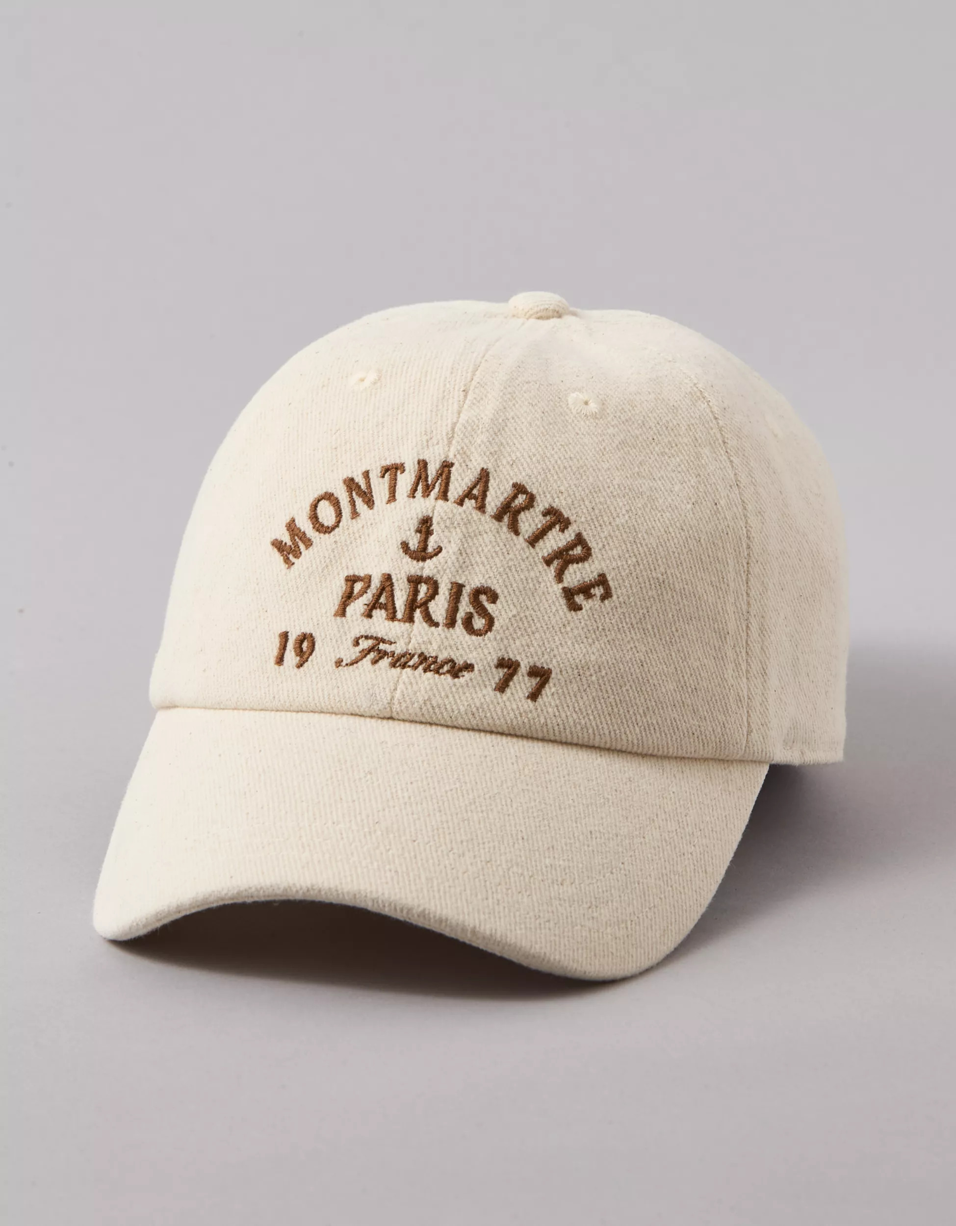 AE Destination Graphic Baseball Hat | American Eagle Outfitters (US & CA)