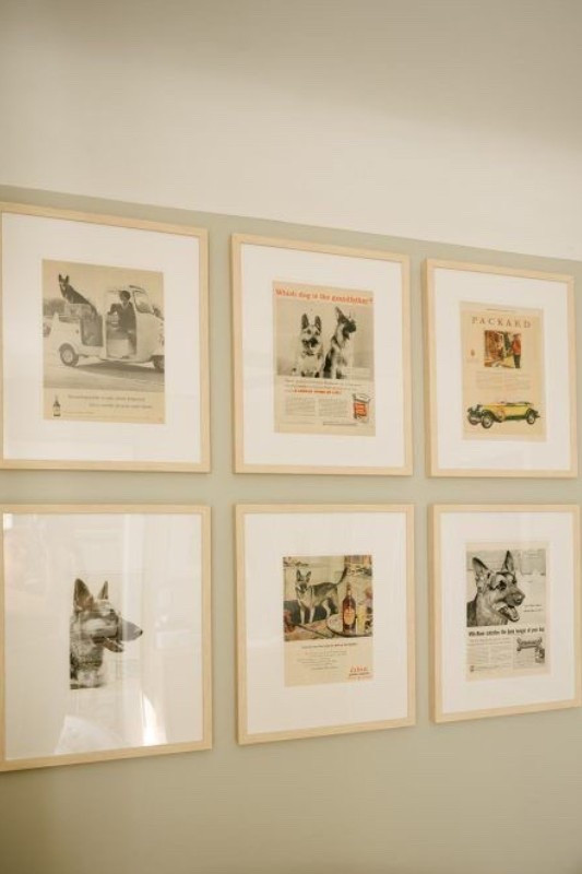 Dog nursery with framed vintage advertisements and book pages featuring German Shepherds. #nurserydecor #neutralbabynursery

#LTKHome #LTKBaby