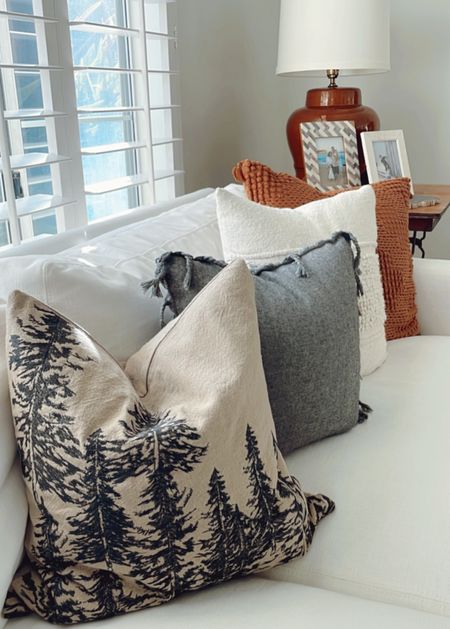 Winter pillows still out for a while! ❄️ I love this tree pillow from Pottery Barn because I can leave it out all winter long. Also perfect for a mountain cabin! 

#LTKhome #homedecor #cabindecor #winterdecor #throwpillow