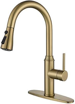 Gold Kitchen Faucet with Sprayer,Single Handle Kitchen Sink Faucet with Pull Out Sprayer, Champag... | Amazon (US)