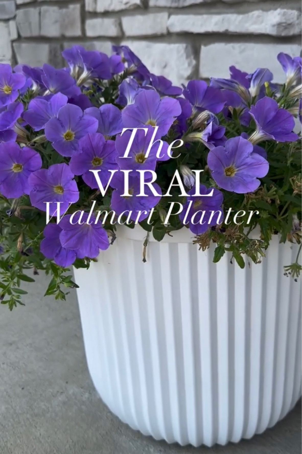 Viral planter, Walmart planter, pottery barn dupe, spring outdoor, flower pot

#LTKhome #LTKSpringSale
