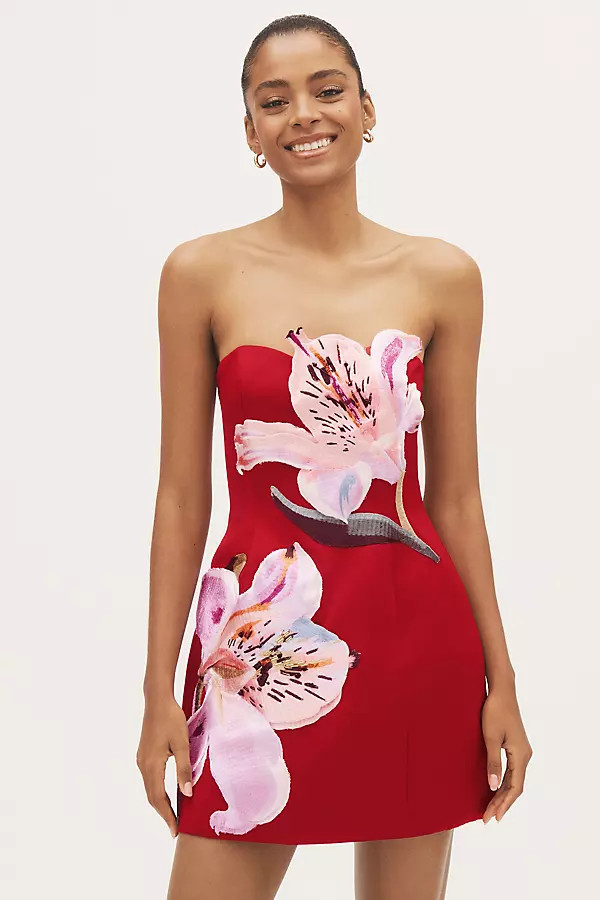 Rosario Floral Appliqué Mini Dress | Anthropologie (US)