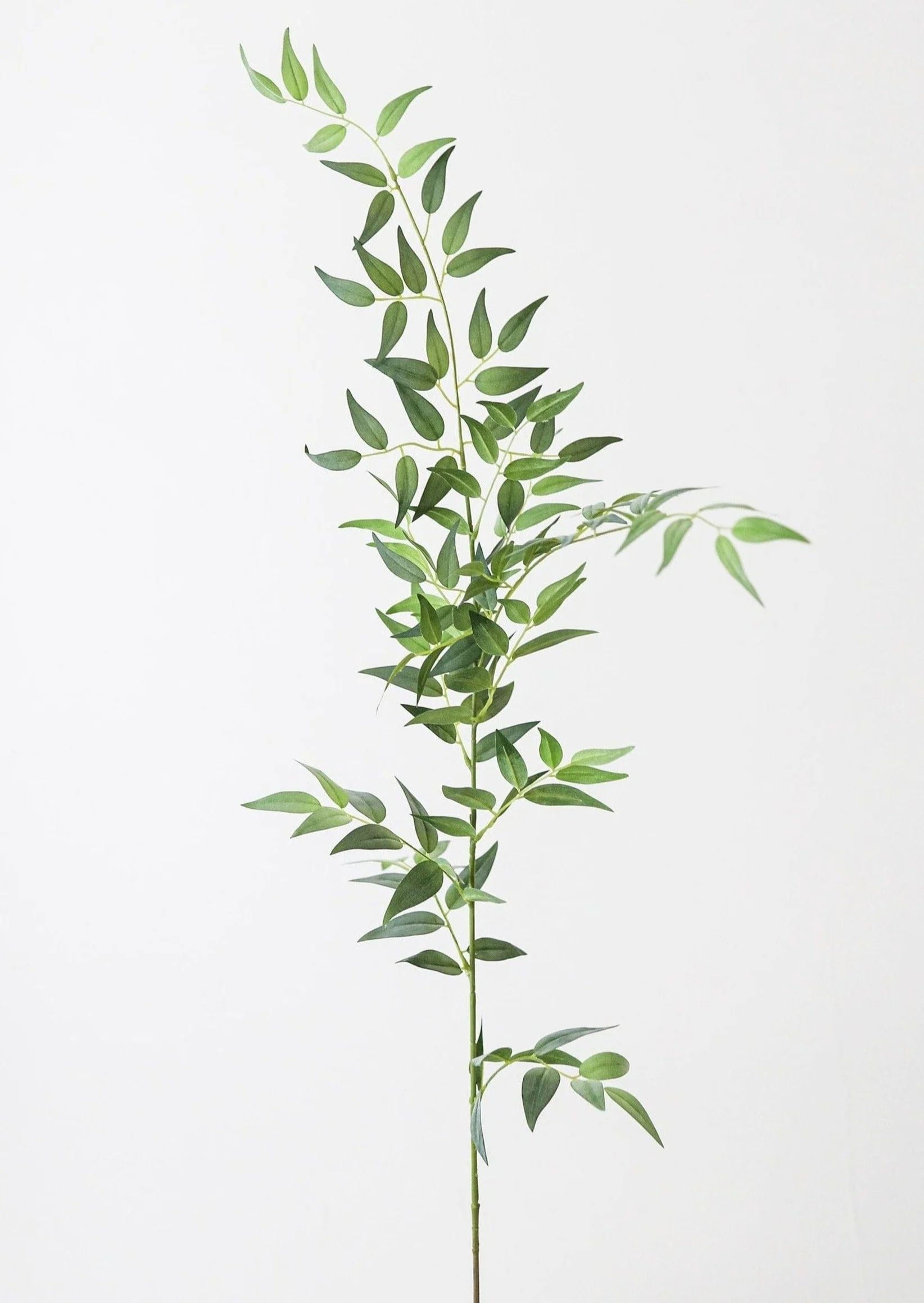 Fake Leaves Italian Ruscus Branch - 49" | Afloral