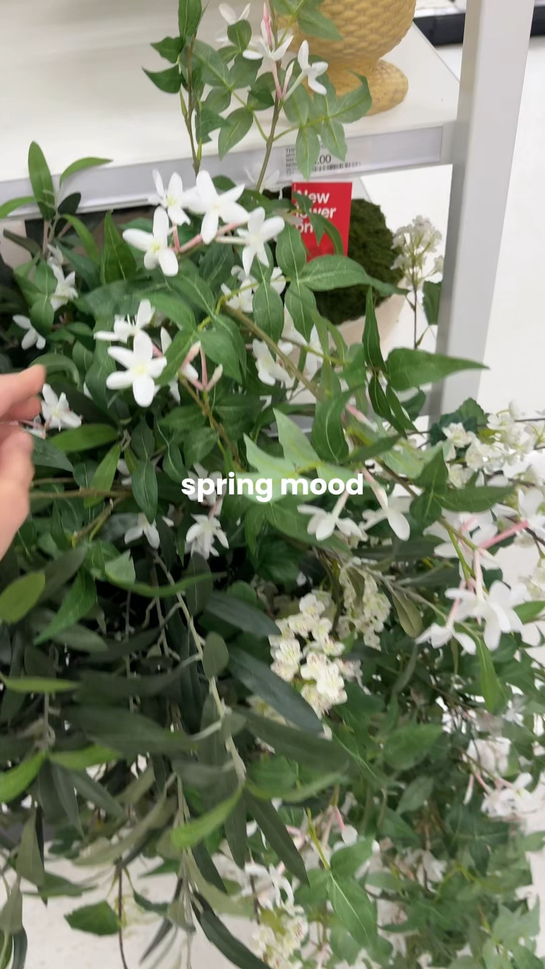 Affordable Spring stems for your home! Pair these with a pretty vase.

#LTKSeasonal #LTKHome #LTKSpringSale