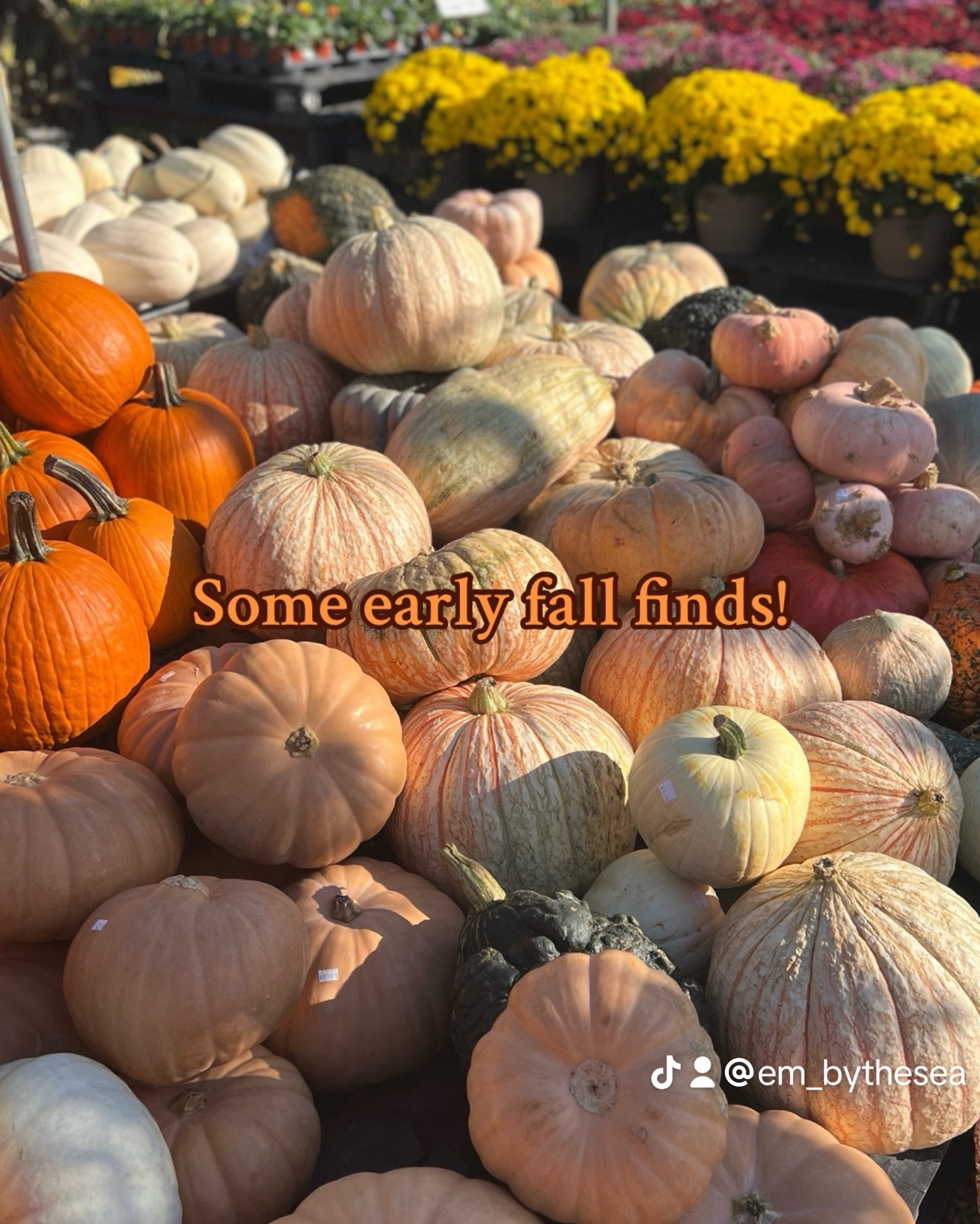 Early fall shopping list! 

#LTKStyleTip #LTKSeasonal #LTKBacktoSchool